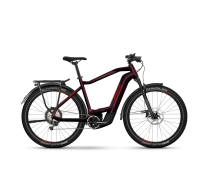 HAIBIKE TREKKING 11 - HIGH 2022