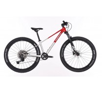 SUPERIOR TEAM 27.3 GLOSS BRUSHED ALU/RED 2026