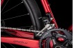 4EVER GRIZZLY RACE FLAME RED 2026