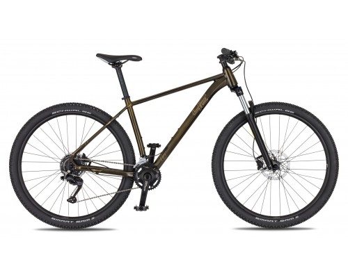 4EVER FRONTBEE XCM/ GOLD GALAXY 2026