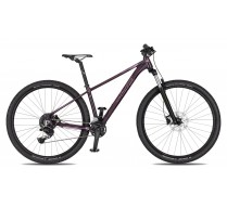 4EVER IBIZA TWENTY 29 LADY VIOLET HOLOGRAM 2026