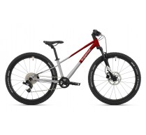 SUPERIOR TEAM 24 GLOSS BRUSHED ALU/ RED 2026