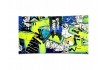 Snowboard RAVEN BANG JUNIOR MINI 2026