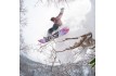 Snowboard NIDECKER GAMMA 2026