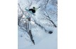 Snowboard ROME STALE FISH 2026