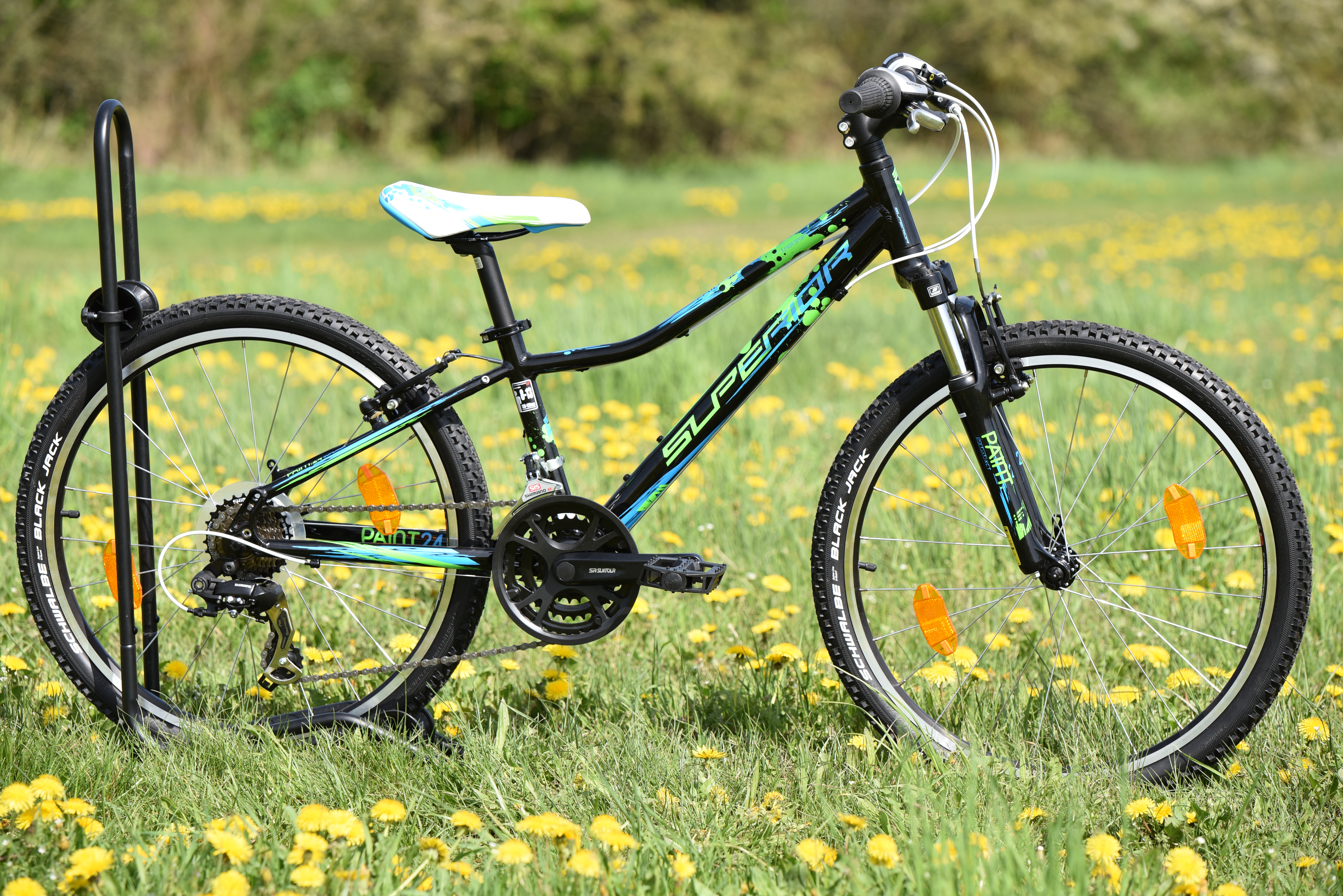 PAINT  se pomalu loučí. 